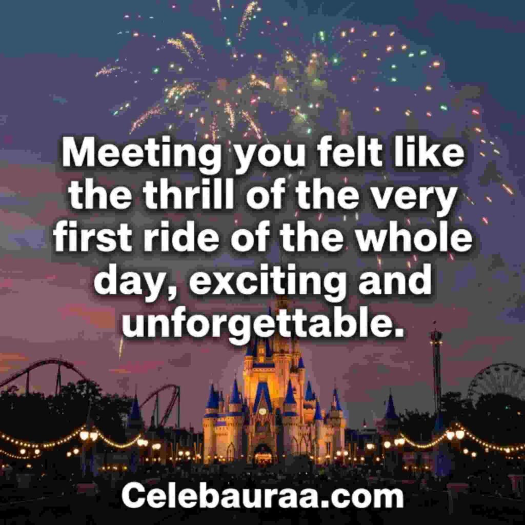Magical And Cute Disney Pick Up Lines featuring a Disneyland theme park quote with fireworks and castle