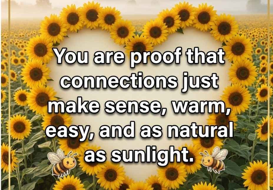 Sunflower pick up lines quote graphic with misty morning sunflower field background