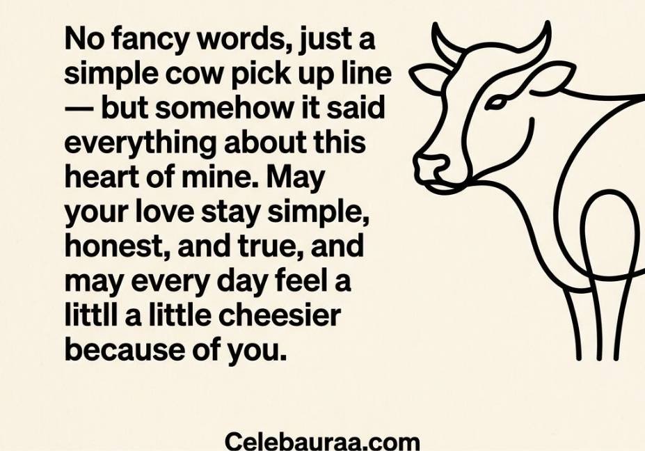 Modern minimalist cow pick up lines quote card with bold line-art cow illustration"