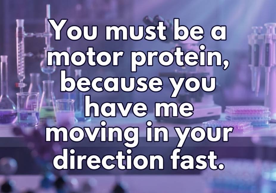 Dreamy laboratory scene with a flirty Cytoskeleton Pickup Lines quote about motor proteins and instant attraction