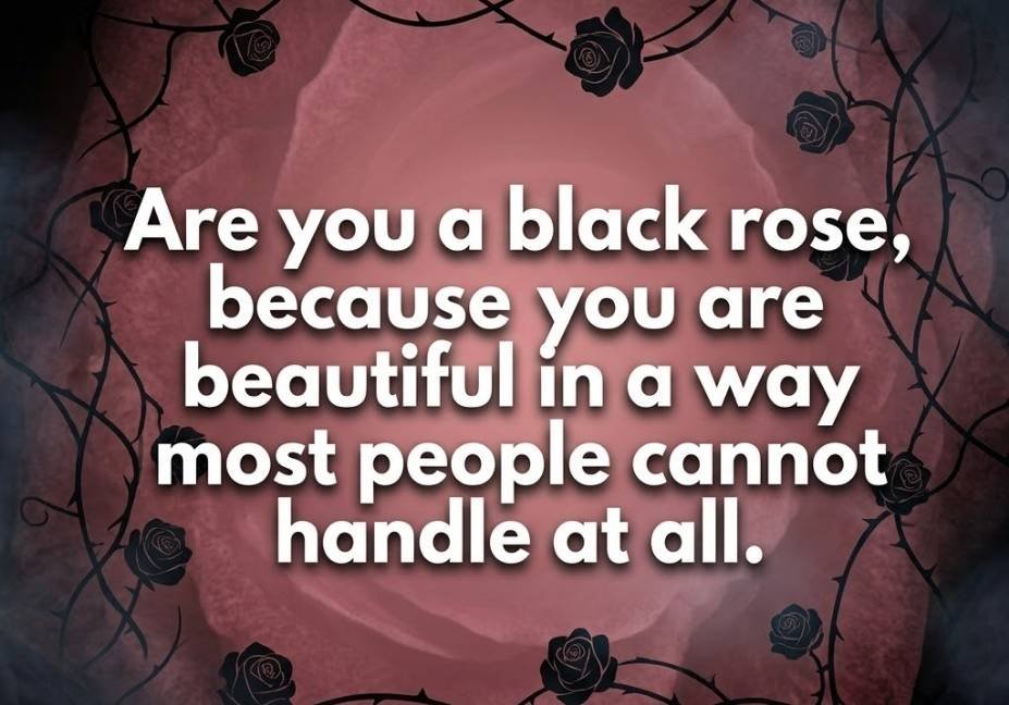 Dark Humor Pick Up Lines: Charming or Cursed? - black rose dark romantic flirty quote