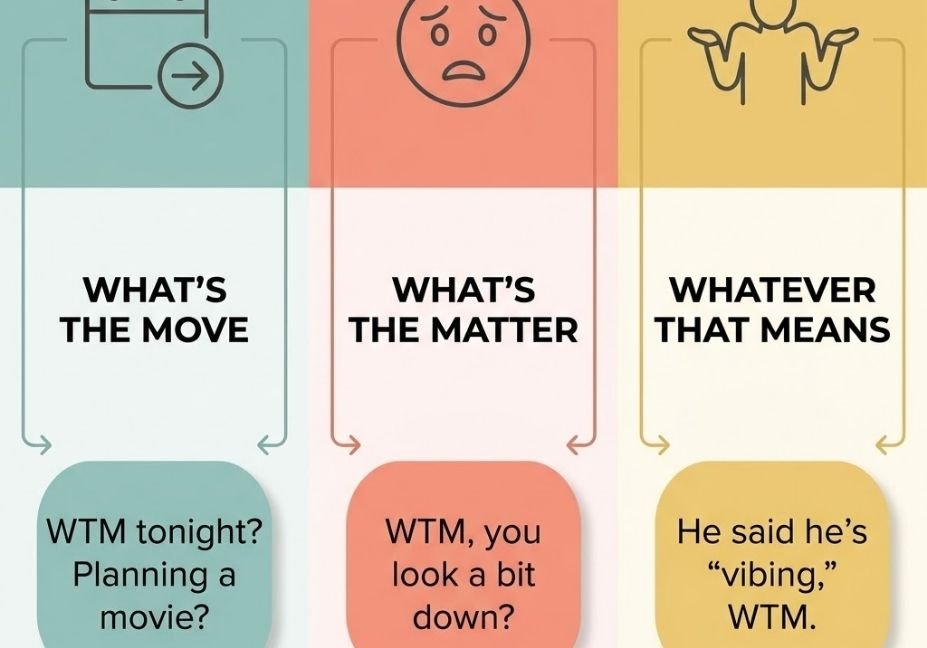 Infographic showing three common WTM meanings in text: what's the move, what's the matter, and whatever that means